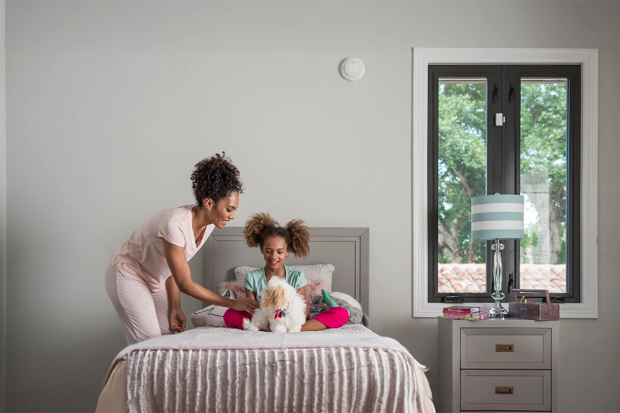 smoke & carbon detector Jamestown